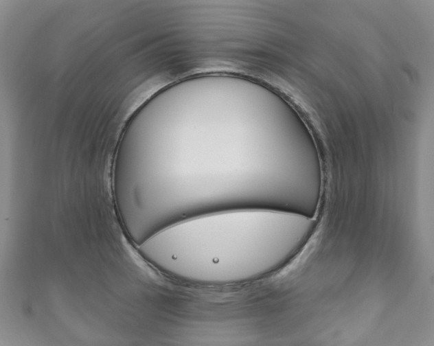 X0000111931137200907271025