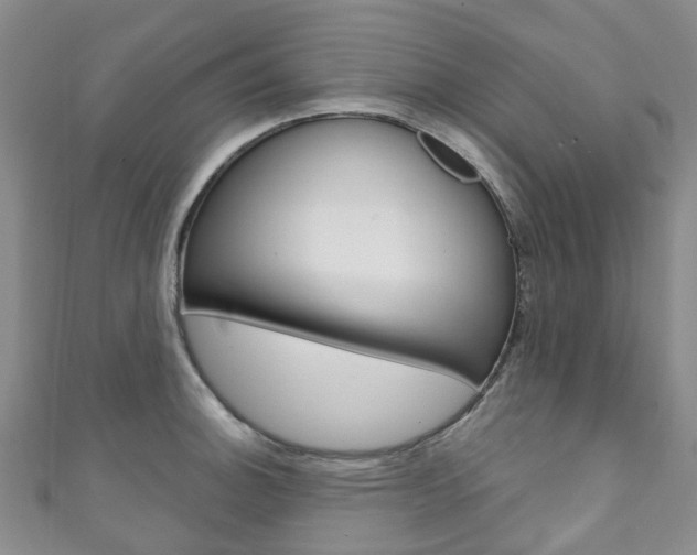 X0000111931140200907271025
