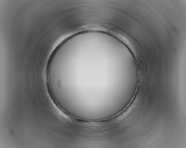 X0000111931141200907271025
