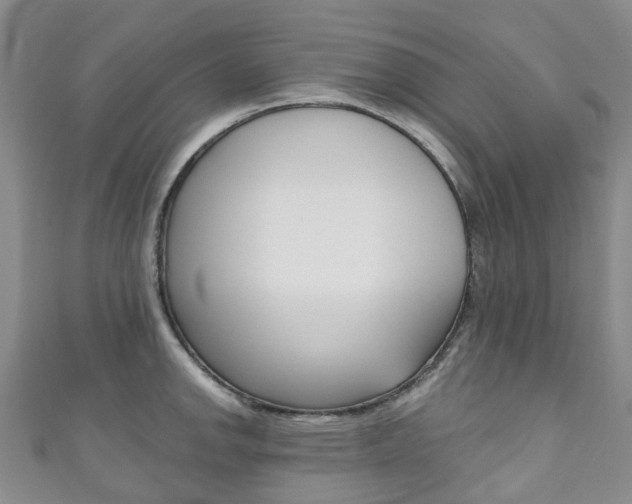 X0000111931142200907271025