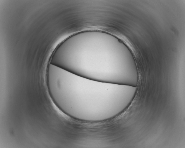X0000111931143200907271025