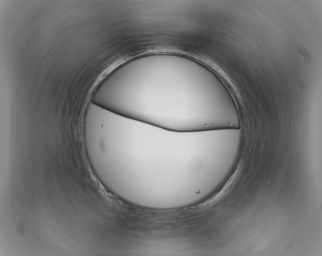 X0000111931145200907271025