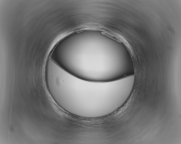 X0000111931146200907271025