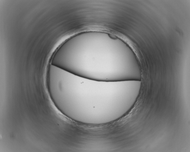 X0000111931147200907271025