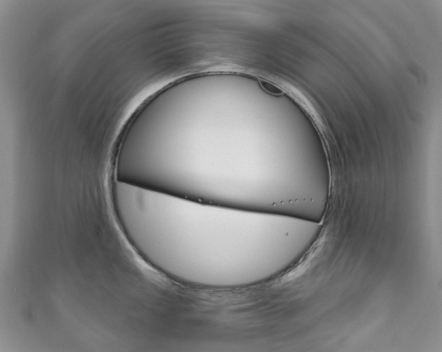 X0000111931149200907271025