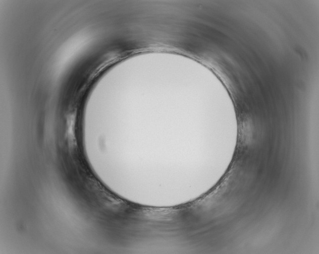 X0000111931150200907271025