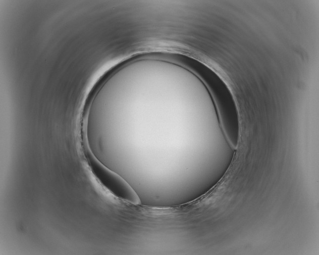 X0000111931152200907271025