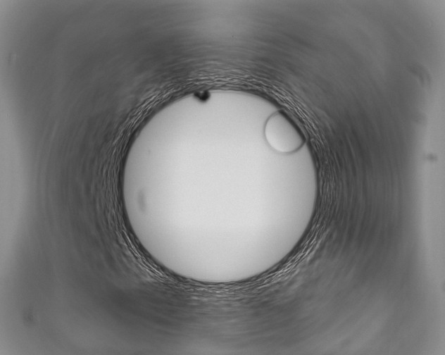 X0000111931153200907271024
