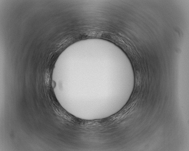 X0000111931154200907271024