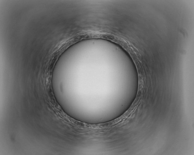 X0000111931157200907271024