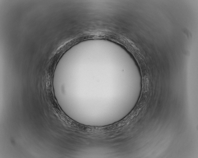 X0000111931158200907271024