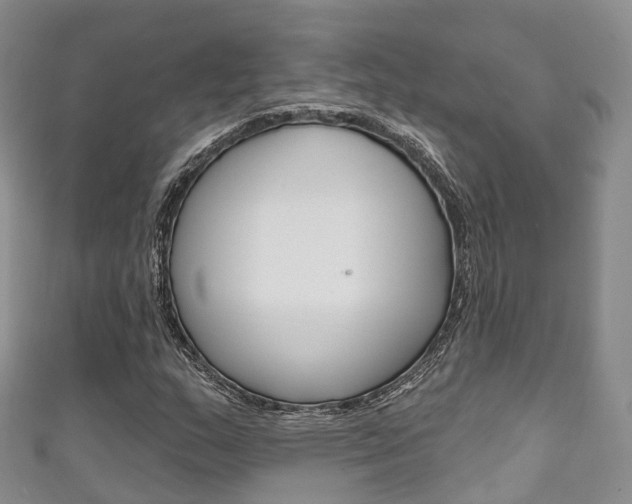 X0000111931159200907271024