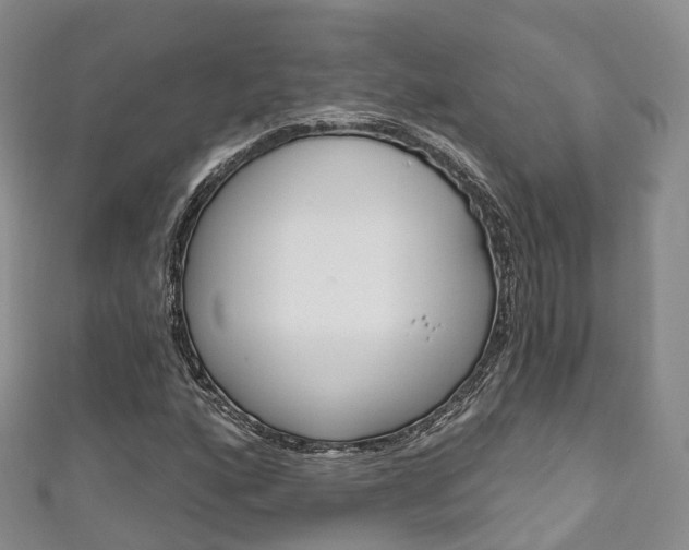 X0000111931160200907271024