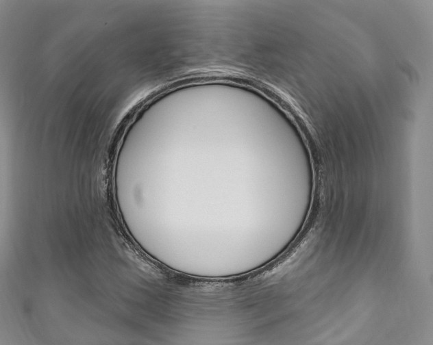 X0000111931163200907271024