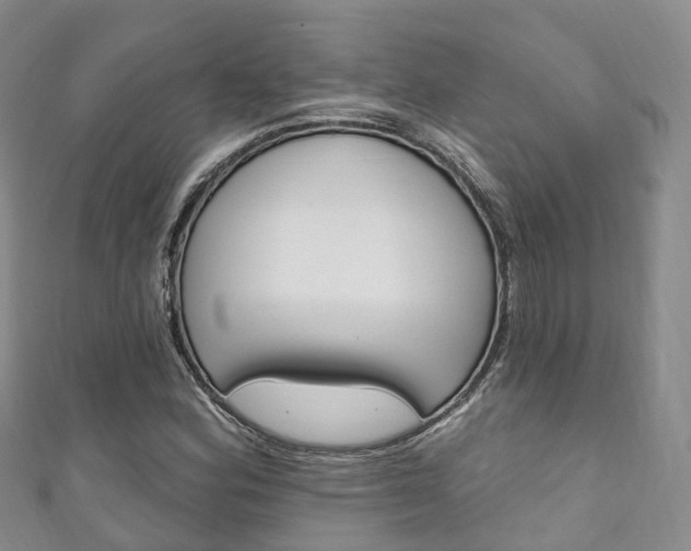 X0000111931164200907271024