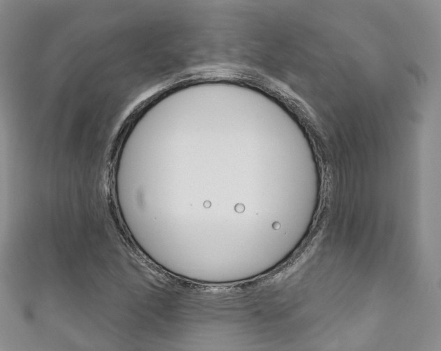 X0000111931166200907271024