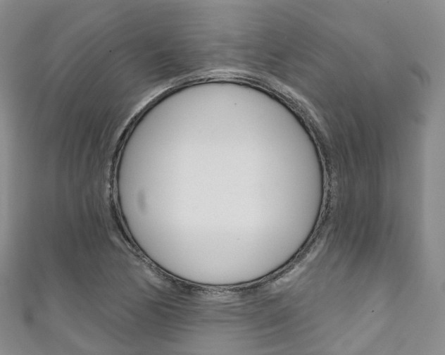 X0000111931170200907271024