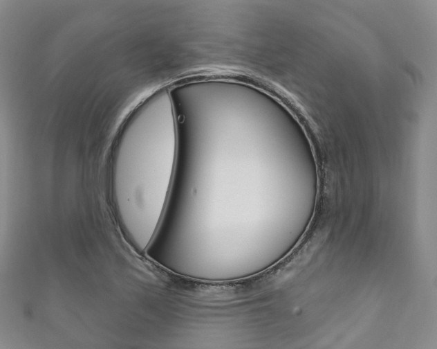 X0000111931171200907271024