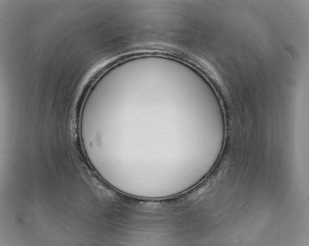 X0000111931172200907271024