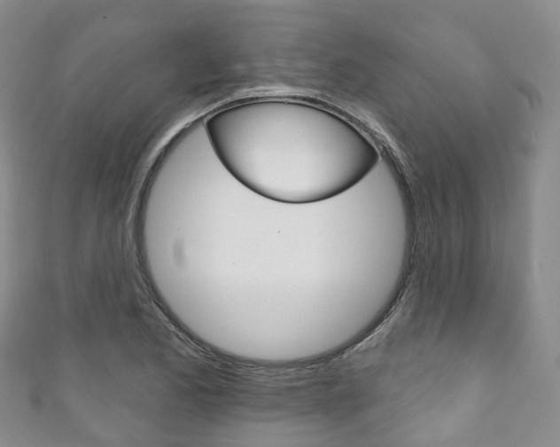 X0000111931173200907271024