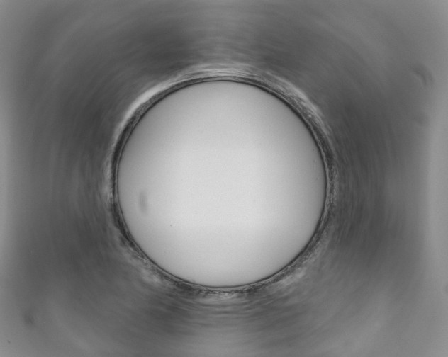X0000111931174200907271024