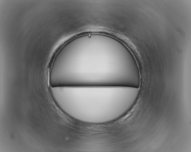 X0000111931175200907271024