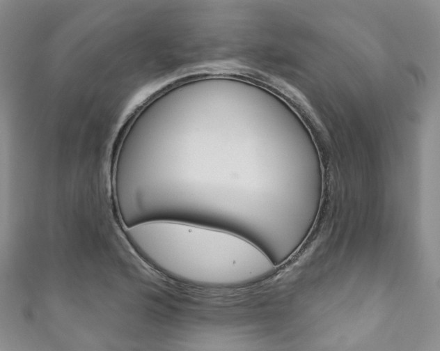 X0000111931176200907271024