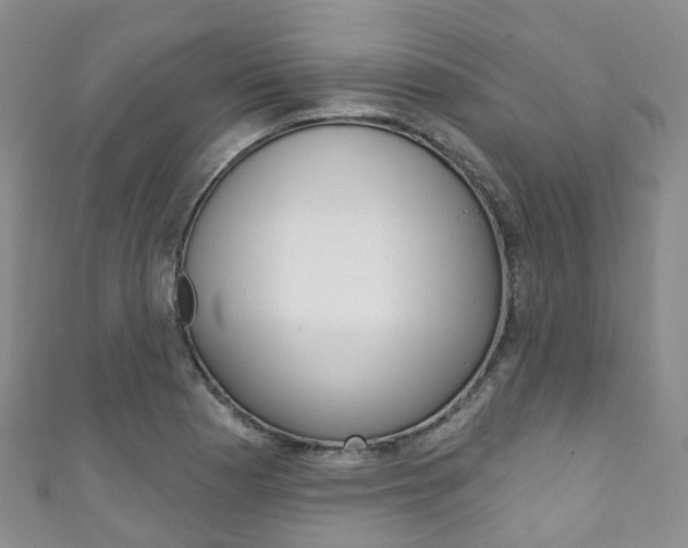 X0000111931177200907271024