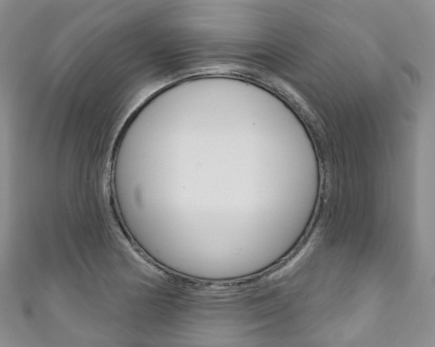 X0000111931178200907271024