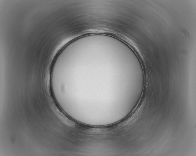 X0000111931179200907271024