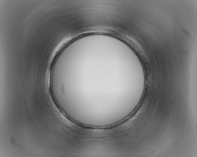 X0000111931180200907271024