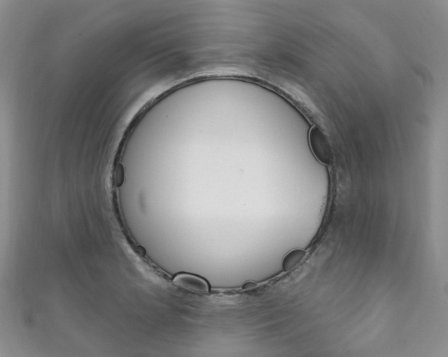 X0000111931181200907271024