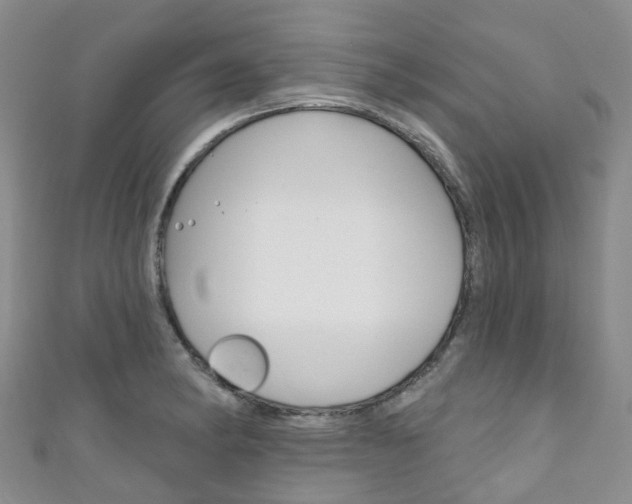 X0000111931182200907271024