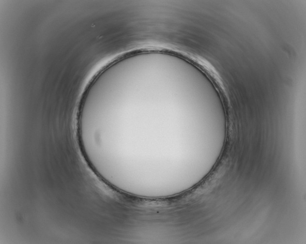 X0000111931183200907271024