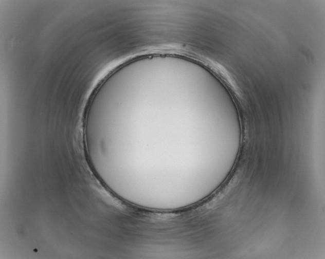 X0000111931184200907271024