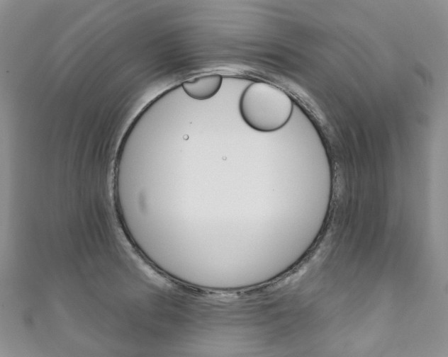 X0000111931186200907271024