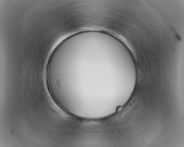 X0000111931187200907271024