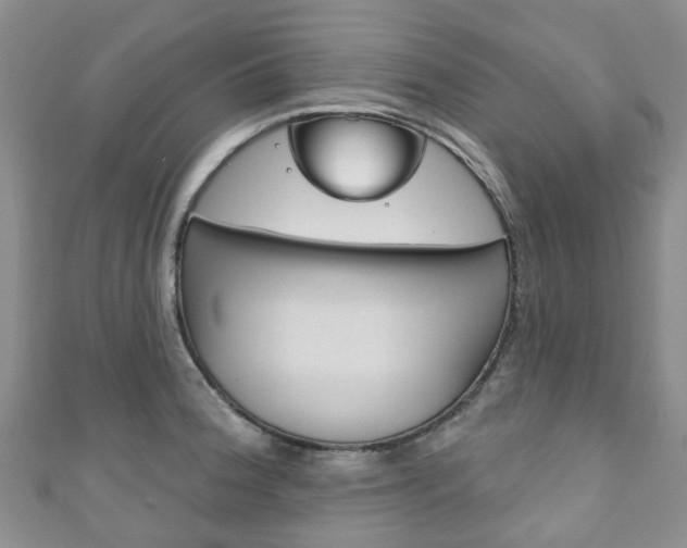 X0000111931188200907271024