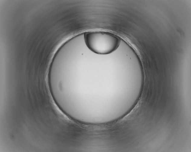 X0000111931189200907271024