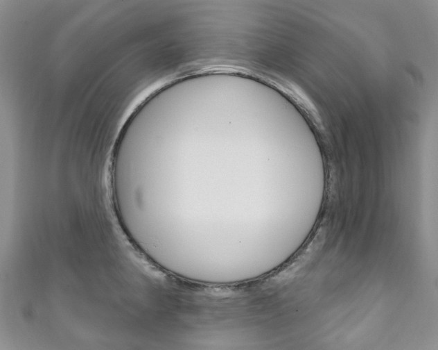 X0000111931190200907271024