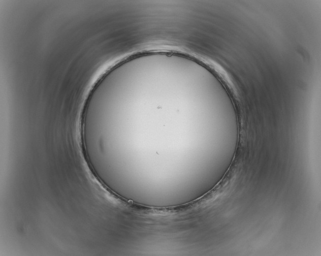 X0000111931191200907271024