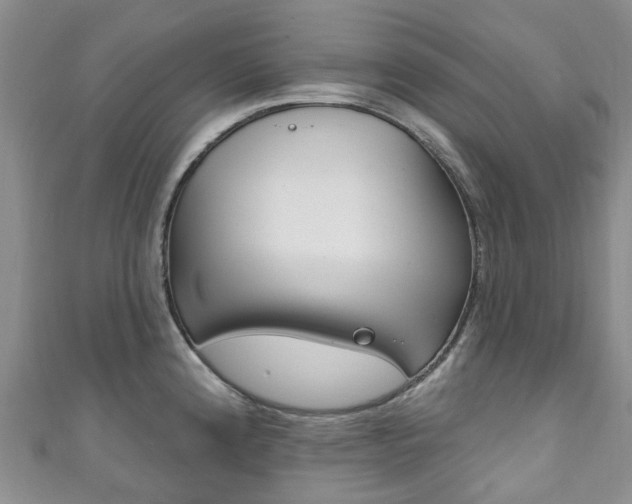 X0000111931192200907271024