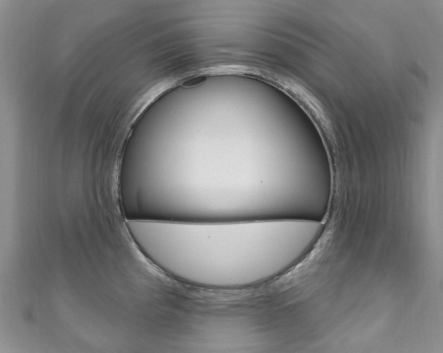 X0000111931193200907271024