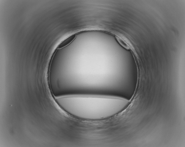 X0000111931197200907271024
