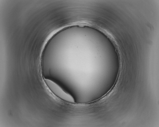 X0000111931200200907271024