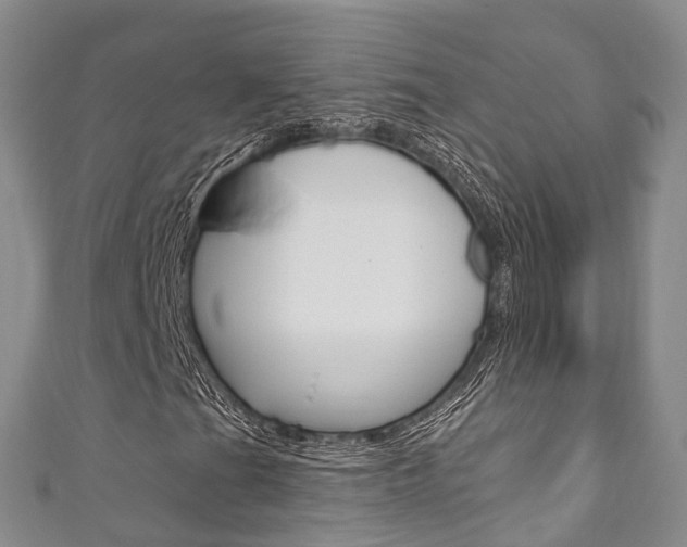 X0000111931201200907271023
