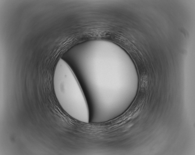 X0000111931202200907271023