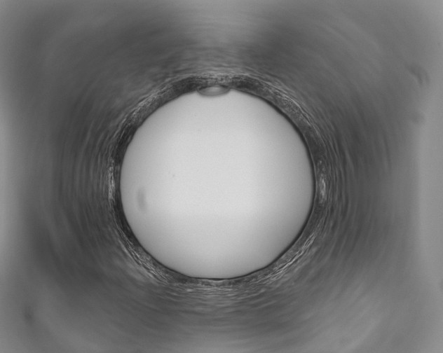 X0000111931204200907271023