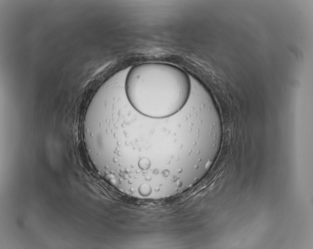 X0000111931205200907271023
