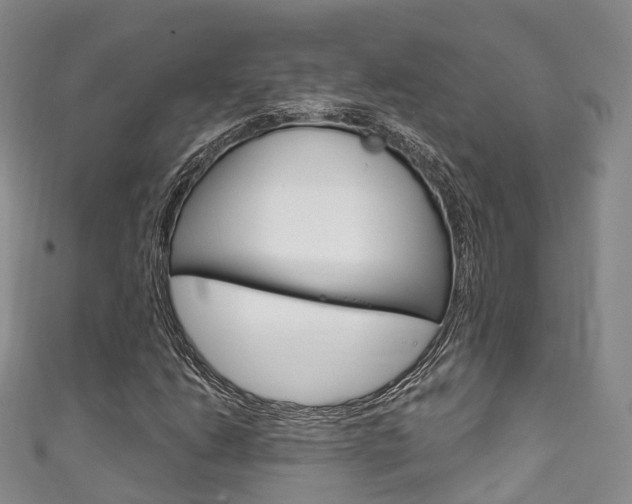 X0000111931206200907271023